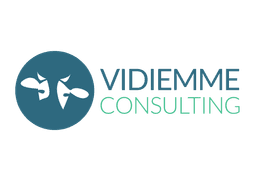 Logo VIDIEMME CONSULTING SRL