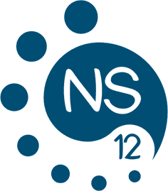 Logo NS12 spa