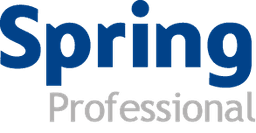 Logo SPRING PROFESSIONAL