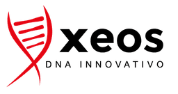 Logo Xeos.it